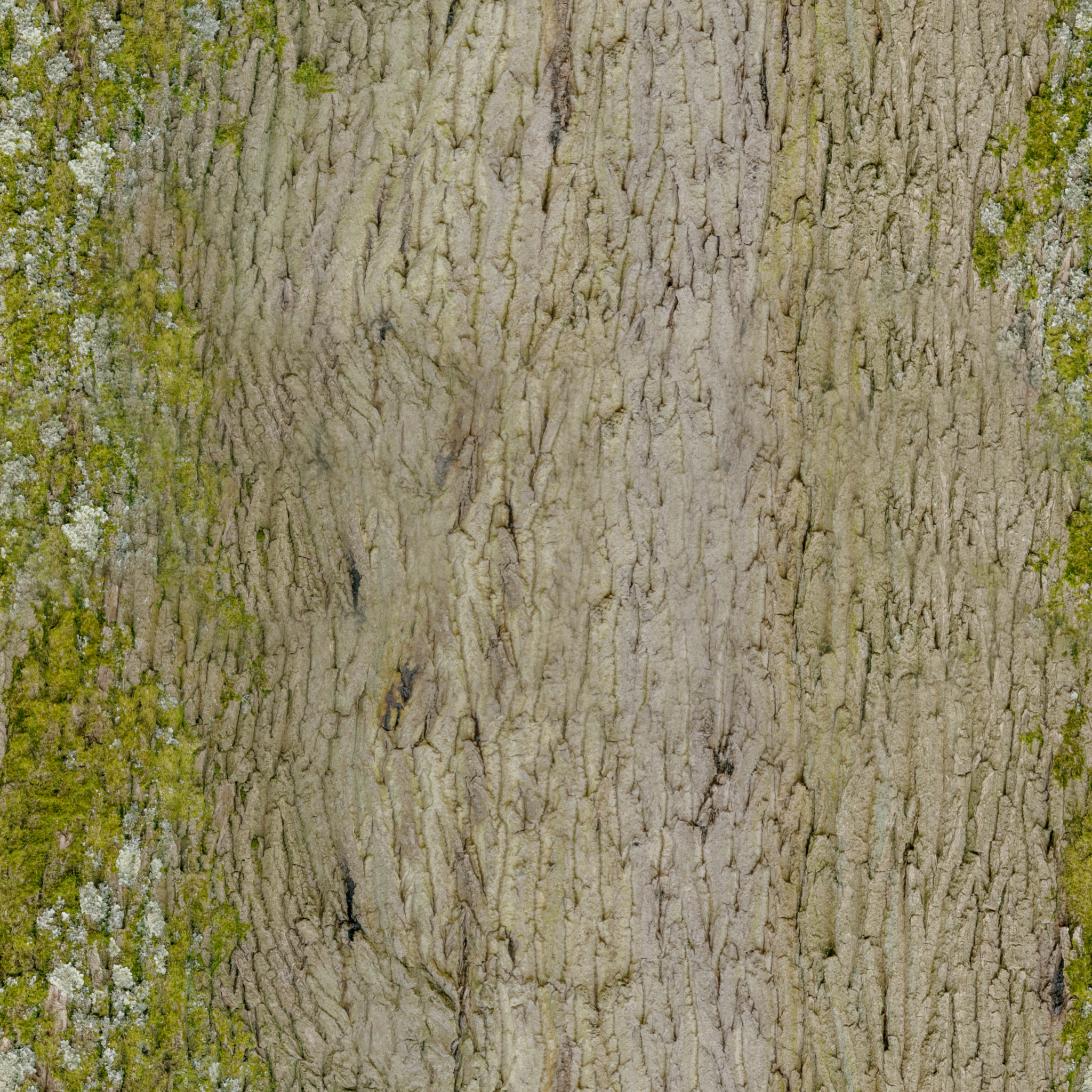 tree bark