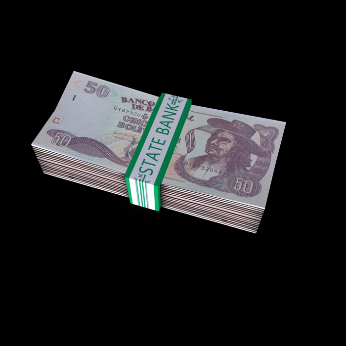 bundle of money 2
