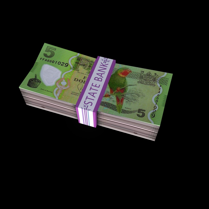 bundle of money 3