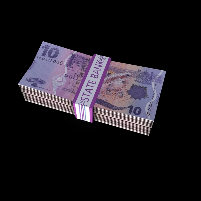bundle of money 4