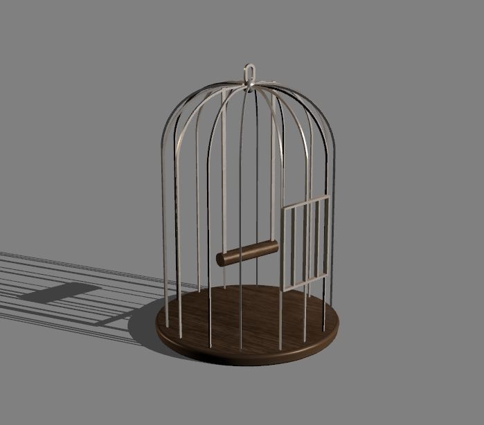 bird cage 4