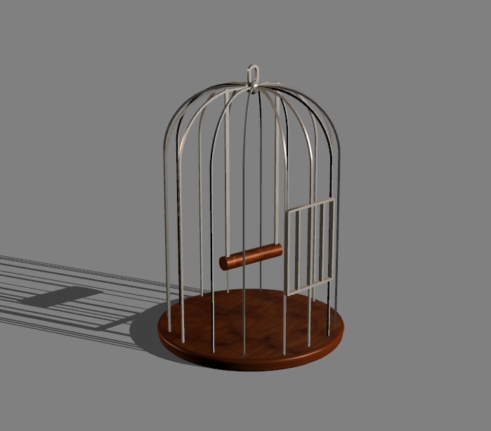 bird cage 5