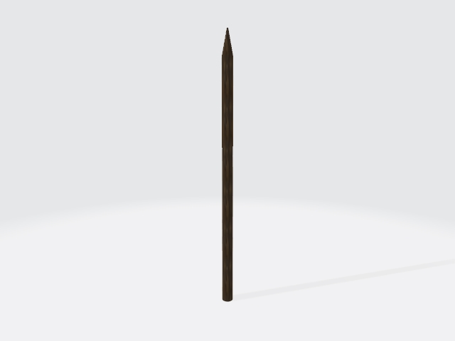 Wooden Spear