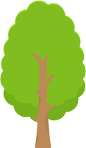 2D Tree 3